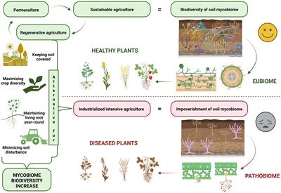 Soil mycobiome in sustainable agriculture